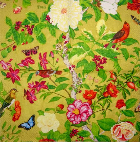 035 Vögel - 3-lagig - Ihr